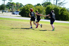 Enlarge photo 535
