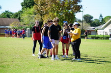 Enlarge photo 817