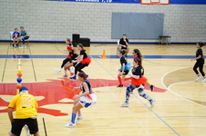 Enlarge photo 1173