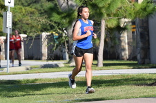 Enlarge photo 54