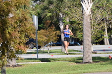 Enlarge photo 74