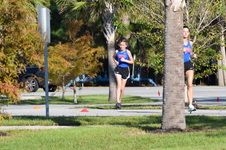 Enlarge photo 106