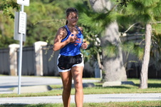 Enlarge photo 151
