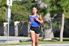 Enlarge photo 153