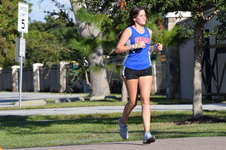 Enlarge photo 239