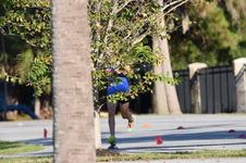 Enlarge photo 245