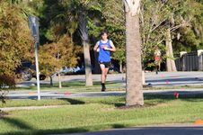 Enlarge photo 342