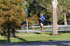Enlarge photo 353