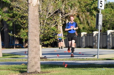 Enlarge photo 459