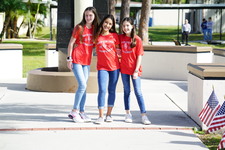 Enlarge photo 85