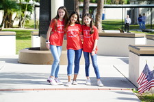Enlarge photo 87