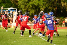 Enlarge photo 41