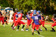 Enlarge photo 42