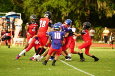 Enlarge photo 44