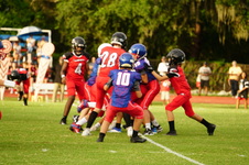 Enlarge photo 45