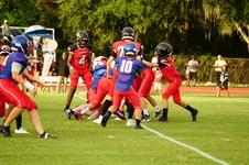 Enlarge photo 46