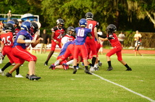 Enlarge photo 47