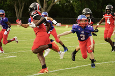 Enlarge photo 52