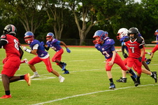 Enlarge photo 54