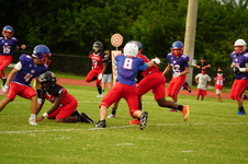 Enlarge photo 66