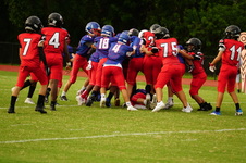 Enlarge photo 73