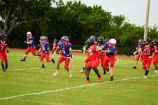Enlarge photo 83