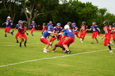 Enlarge photo 87