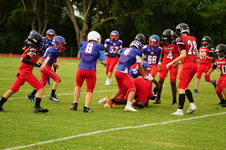 Enlarge photo 89