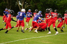 Enlarge photo 90