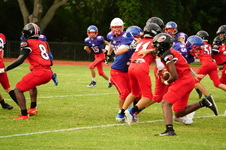 Enlarge photo 95