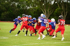 Enlarge photo 96
