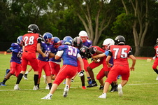 Enlarge photo 97