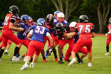Enlarge photo 98