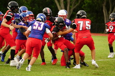 Enlarge photo 99