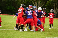 Enlarge photo 102