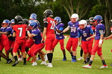Enlarge photo 103
