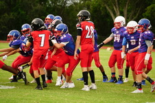 Enlarge photo 105