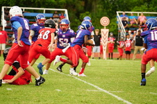 Enlarge photo 134