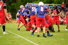 Enlarge photo 137