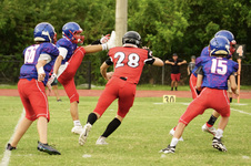 Enlarge photo 146
