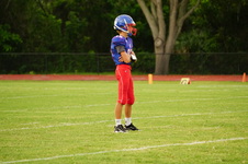 Enlarge photo 153
