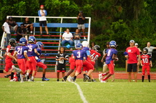 Enlarge photo 163