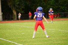Enlarge photo 238