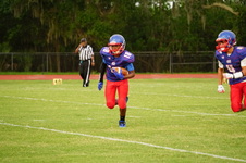 Enlarge photo 243