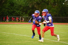 Enlarge photo 244