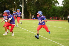 Enlarge photo 248
