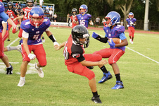 Enlarge photo 249