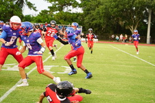 Enlarge photo 251