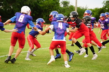 Enlarge photo 252