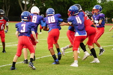 Enlarge photo 254